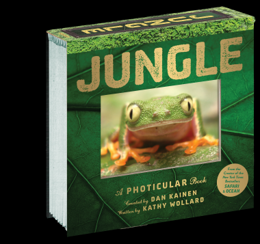 JUNGLE CHILDRENS BOOK