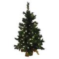 36"CATALINA SPRUCE TREE W/BURLAP