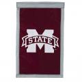 MISSISSIPPI STATE REG. APPL.FLAG