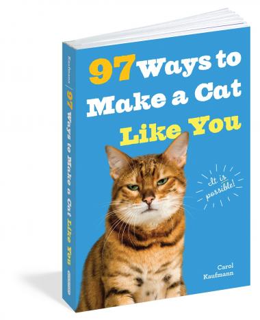 97 WAYS TO MAKE A CAT LIKE YOU