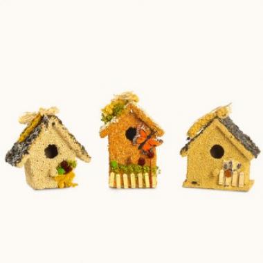 BIRDIE COTTAGE ALL SEASON