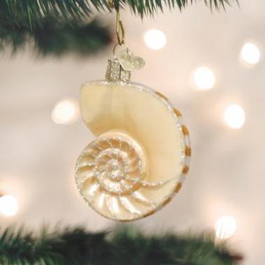 NAUTILUS SHELL ORNAMENT