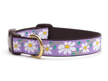 SM NRW DAISY DOG COLLAR