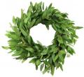 24"DIA SEEDED EUCALYPTUS WREATH