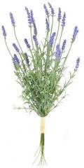 19" Lavender Bundle