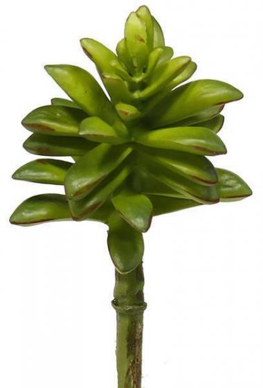 8"L SUCCULENT PICK GREEN