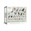 SIBLEY BACKYARD BIRDING PUZZLE