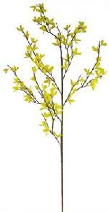 45" FORSYTHIA SPRAY W/80 FLW.