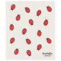 Ladybug SWD. DISHCLOTH