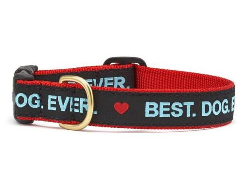 LARGE BEST DOG EVER COLLAR