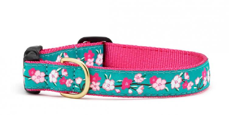 MED W CHERRY BLOSSOMS COLLAR