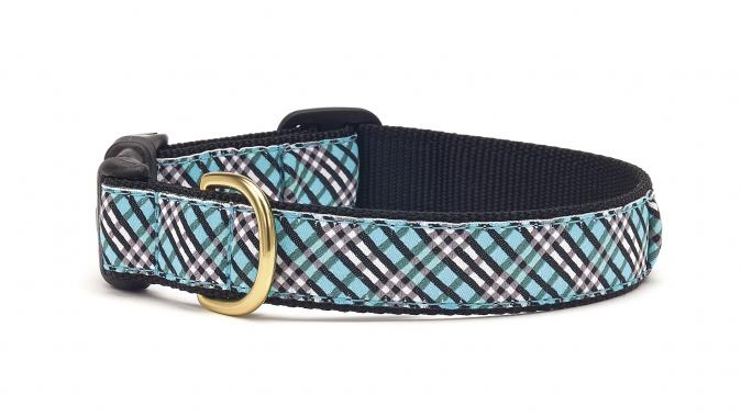 SM. NARROW, AQUA PLAID DOG