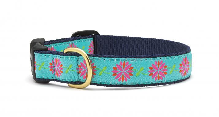SM NRW DAHLIA DARLING DOG COLLAR