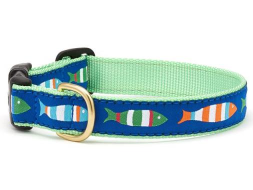 MED. FUNKY FISH DOG COLLAR