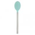 Slcn Spoon w/SS Handle Aq